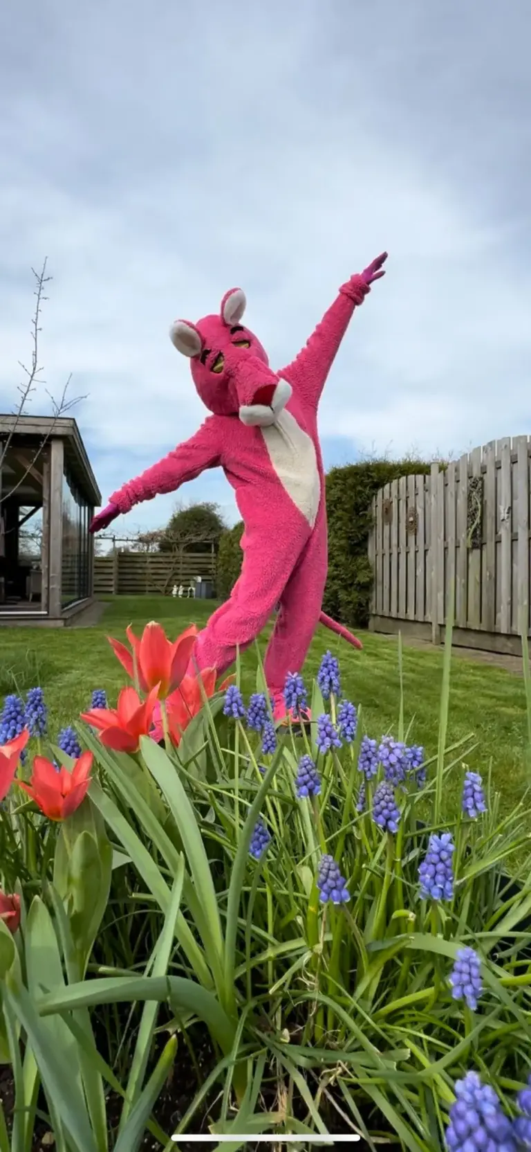 Pink Panter-kostuum