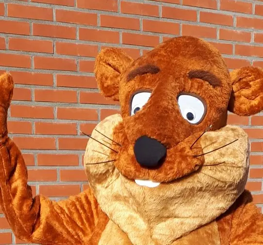 Dierenkostuums en mascottes