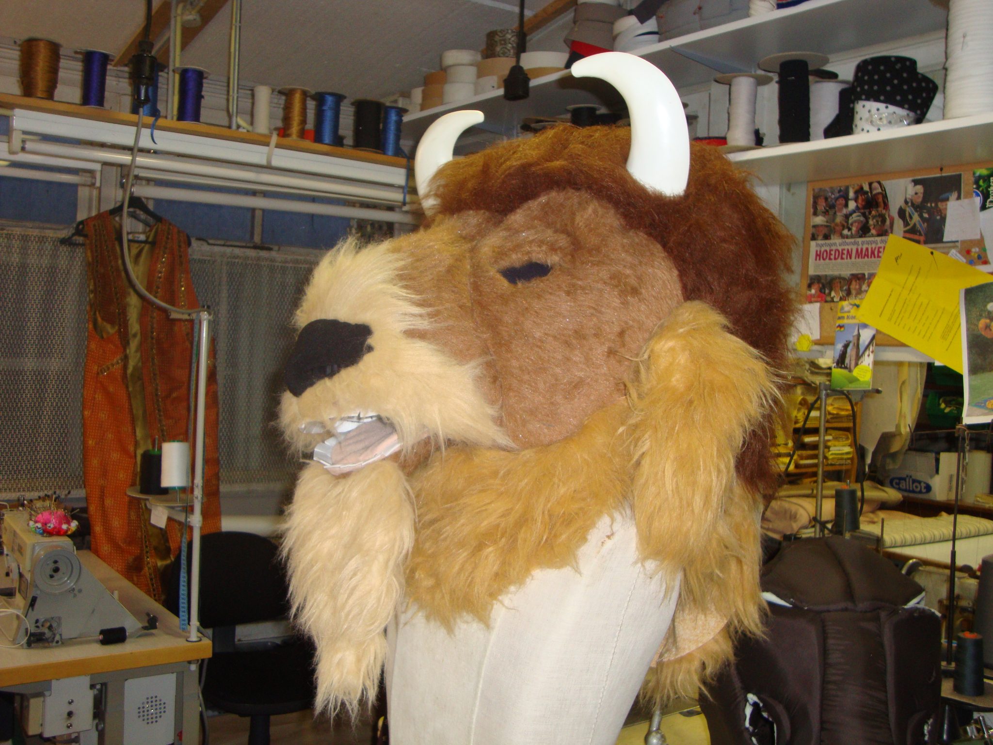 Bison