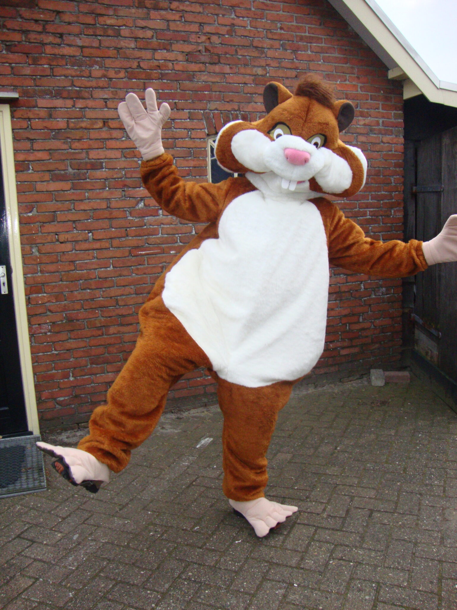 DSC06918